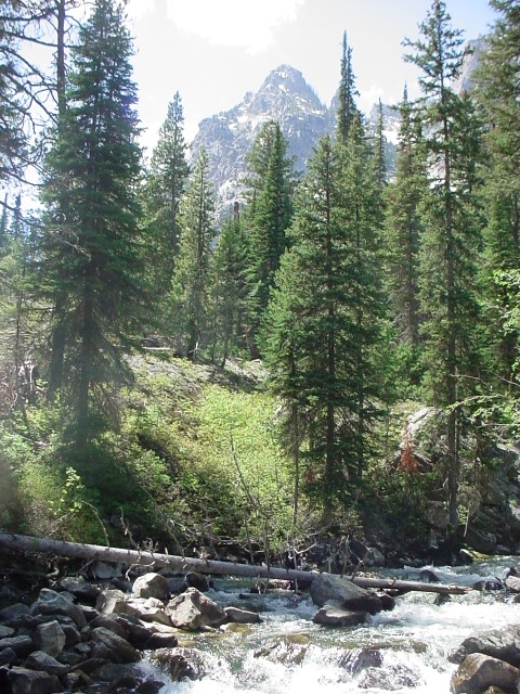 DSC00021.JPG